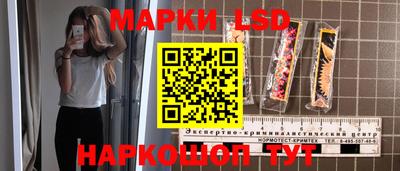индика Будённовск