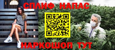 индика Будённовск