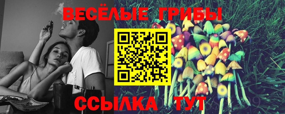 Псилоцибиновые грибы мухоморы  Вход с VPN  Слободской 