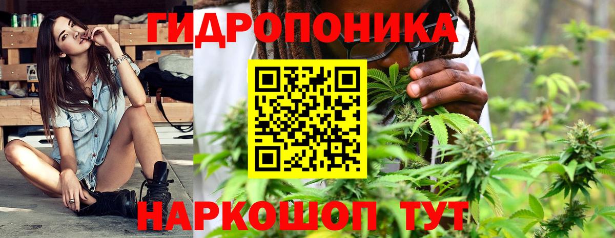 Марихуана гибрид  Шишки марихуана планчик  Вход с VPN  Слободской  Канабис ГИДРОПОН 